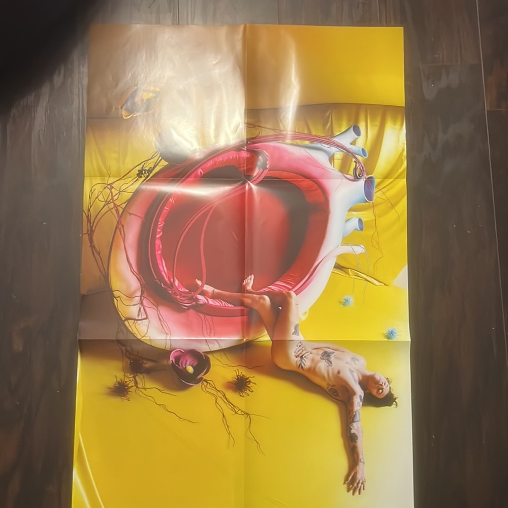 Harry Styles Poster
